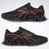Reebok Zig Dynamica 2 Adventure Men's Shoes