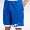 Reebok Basketball Mesh Shorts